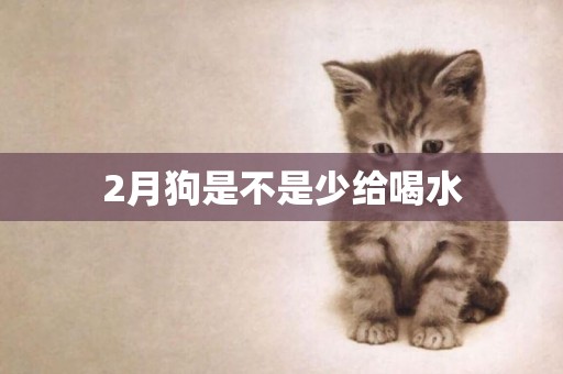 2月狗是不是少給喝水
