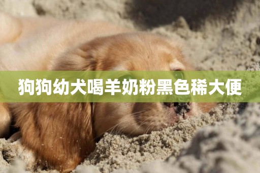狗狗幼犬喝羊奶粉黑色稀大便