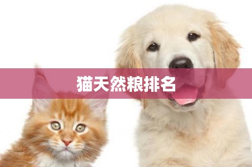 貓天然糧排名