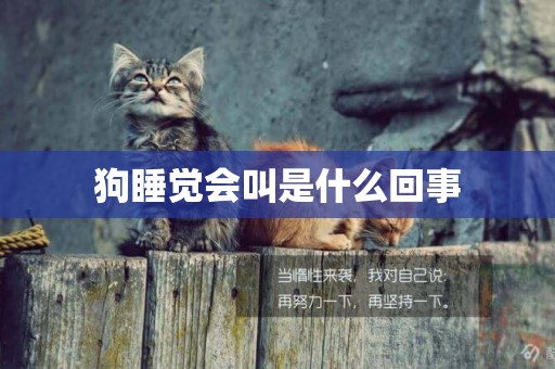 狗睡覺會叫是什么回事