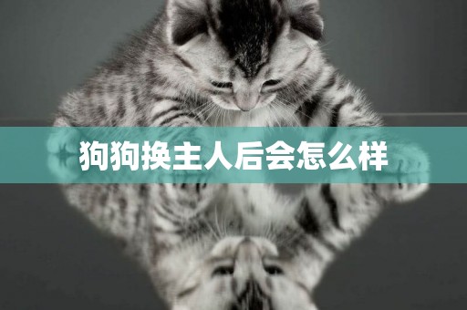 狗狗換主人后會怎么樣