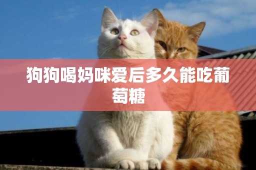 狗狗喝媽咪愛后多久能吃葡萄糖