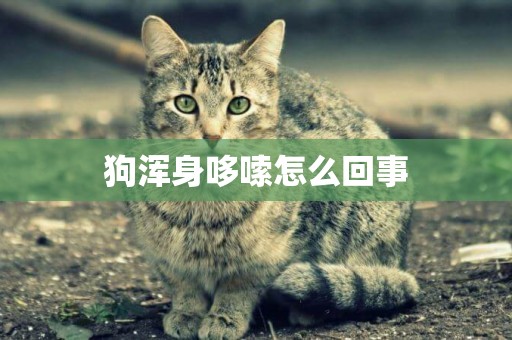 狗渾身哆嗦怎么回事
