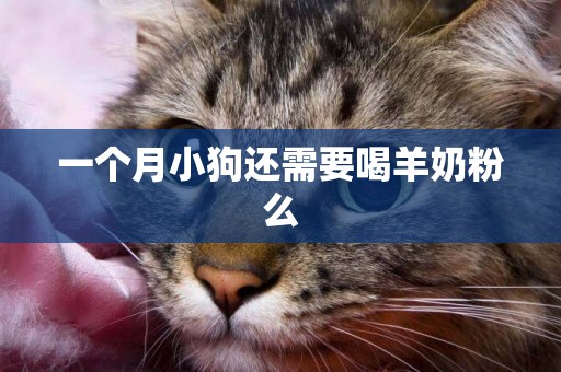 一個月小狗還需要喝羊奶粉么