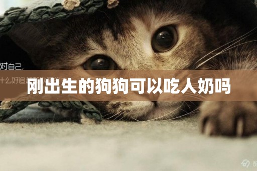 剛出生的狗狗可以吃人奶嗎