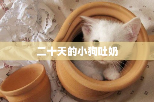 二十天的小狗吐奶