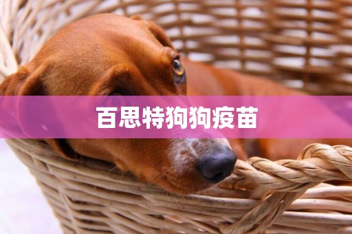 百思特狗狗疫苗