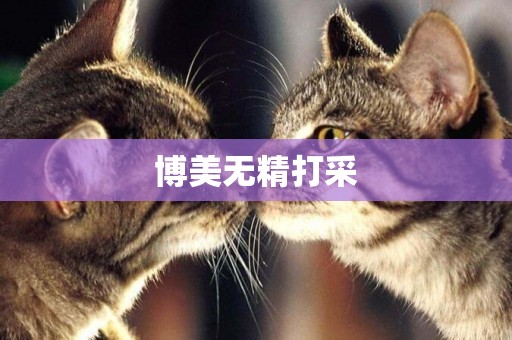 博美無精打采