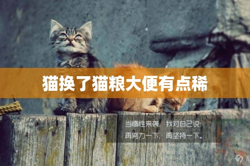 貓換了貓糧大便有點稀