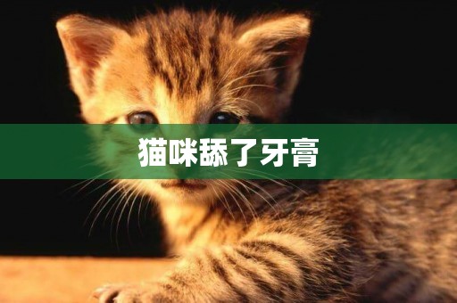 貓咪舔了牙膏
