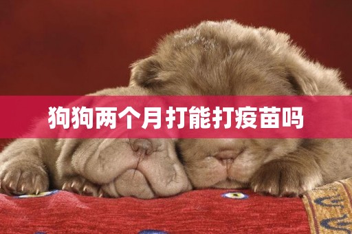 狗狗兩個月打能打疫苗嗎