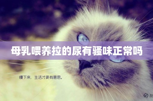 母乳喂養拉的尿有騷味正常嗎