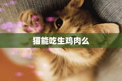貓能吃生雞肉么