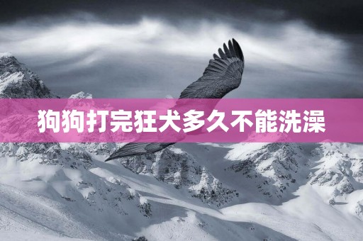 狗狗打完狂犬多久不能洗澡