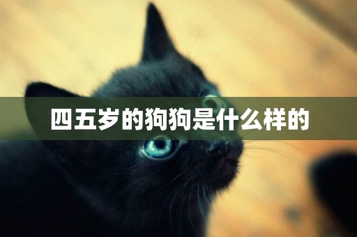 四五歲的狗狗是什么樣的