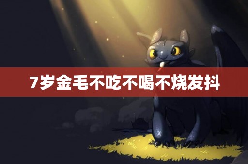 7歲金毛不吃不喝不燒發抖