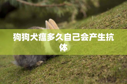 狗狗犬瘟多久自己會產生抗體