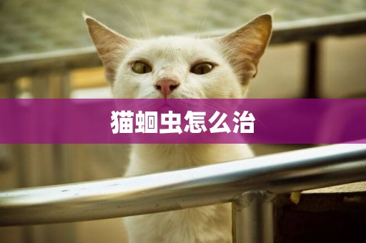 貓蛔蟲怎么治