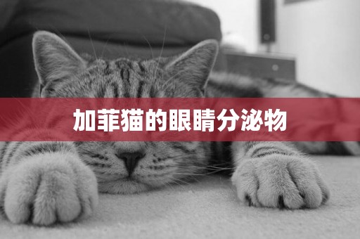加菲貓的眼睛分泌物