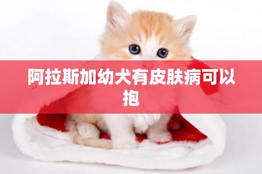 阿拉斯加幼犬有皮膚病可以抱