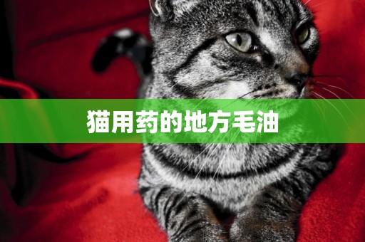 貓用藥的地方毛油
