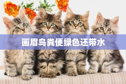 畫眉鳥糞便綠色還帶水