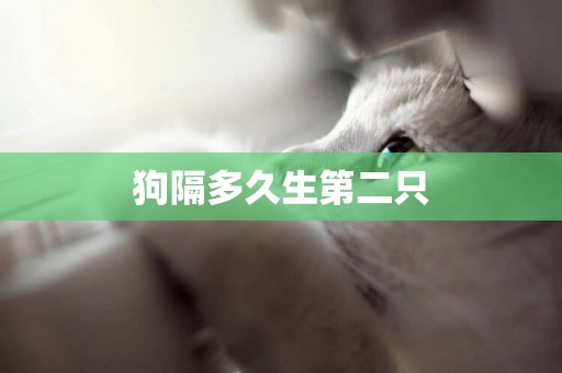 狗隔多久生第二只