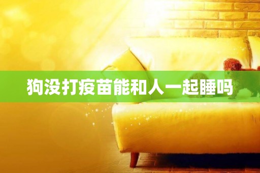 狗沒打疫苗能和人一起睡嗎