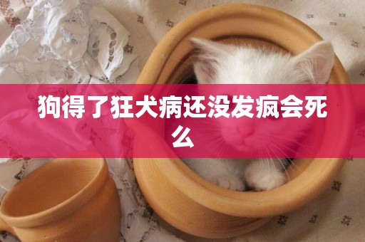 狗得了狂犬病還沒發瘋會死么