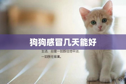 狗狗感冒幾天能好