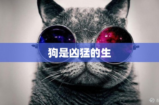狗是兇猛的生