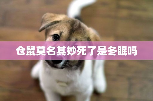 倉鼠莫名其妙死了是冬眠嗎