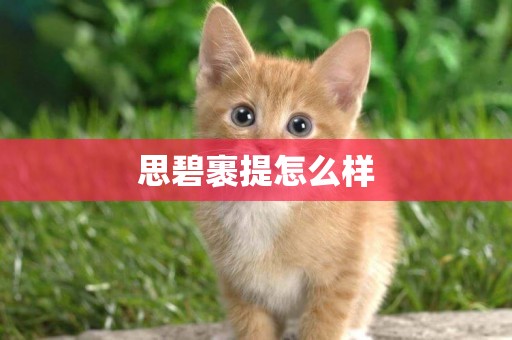 思碧裹提怎么樣