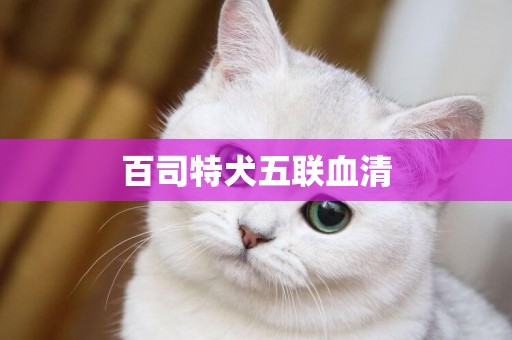 百司特犬五聯血清