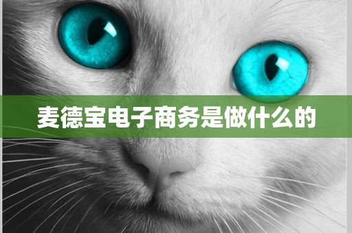 麥德寶電子商務是做什么的