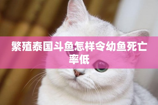 繁殖泰國斗魚怎樣令幼魚死亡率低