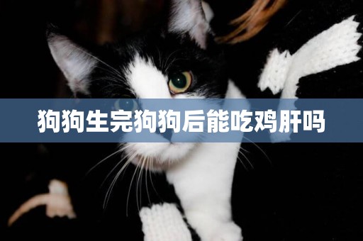 狗狗生完狗狗后能吃雞肝嗎