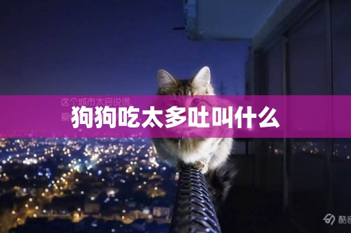狗狗吃太多吐叫什么