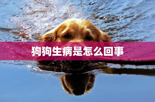 狗狗生病是怎么回事