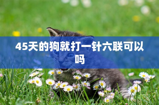 45天的狗就打一針六聯可以嗎