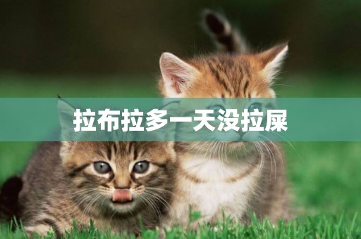 拉布拉多一天沒拉屎