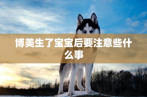 博美生了寶寶后要注意些什么事