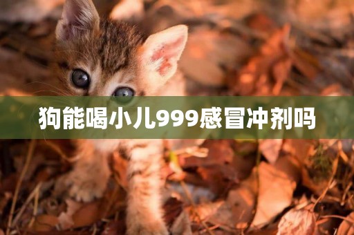 狗能喝小兒999感冒沖劑嗎