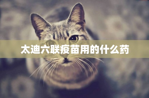 太迪六聯疫苗用的什么藥
