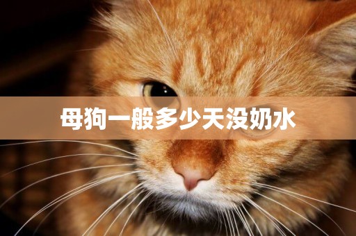 母狗一般多少天沒奶水