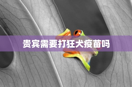 貴賓需要打狂犬疫苗嗎