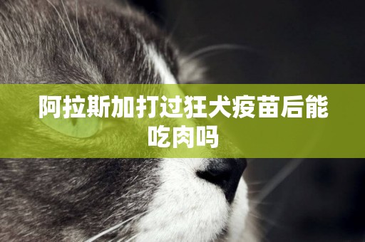 阿拉斯加打過狂犬疫苗后能吃肉嗎