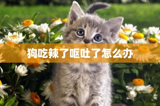 狗吃辣了嘔吐了怎么辦