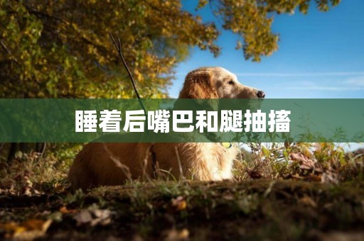 睡著后嘴巴和腿抽搐