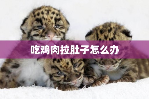 吃雞肉拉肚子怎么辦